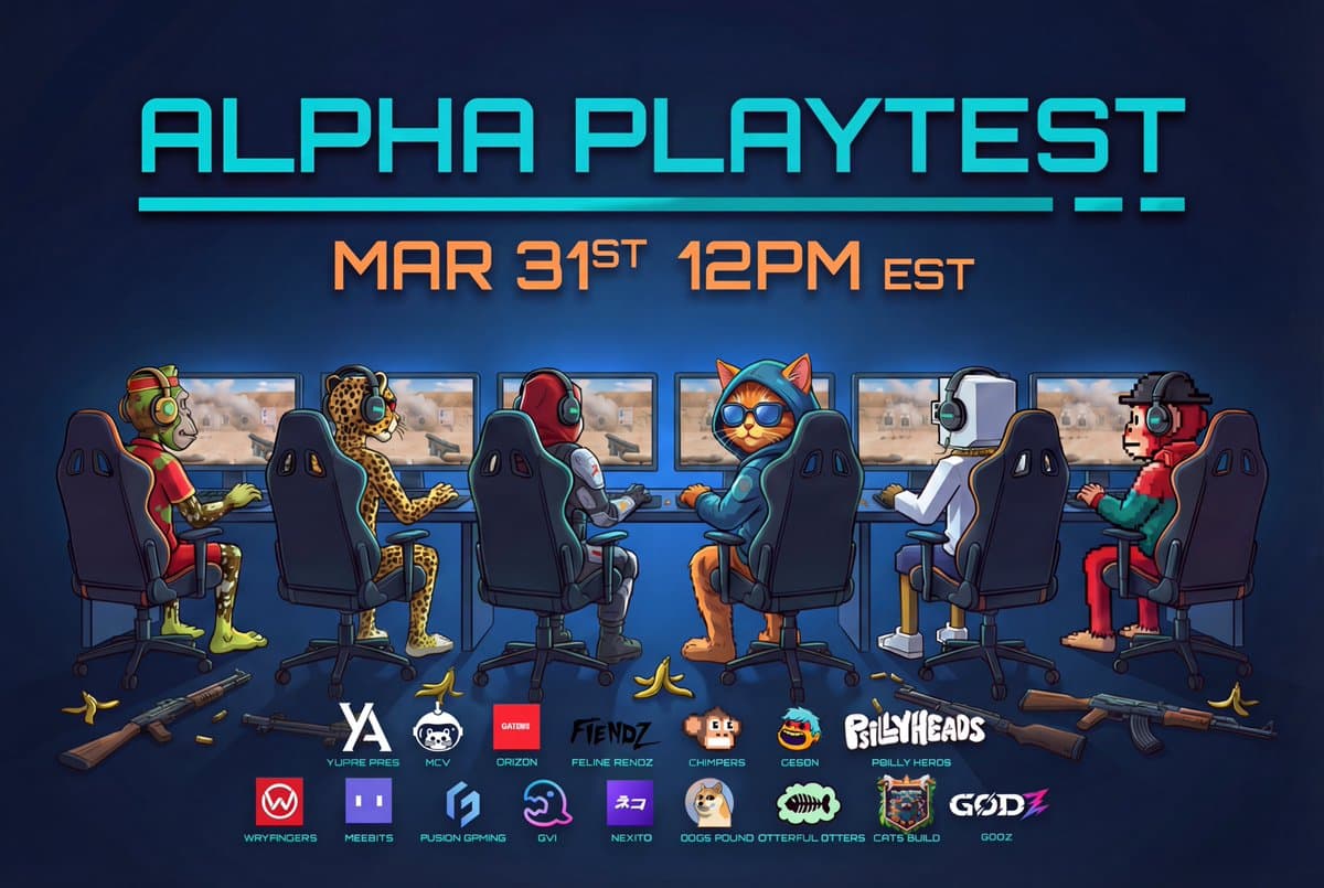 Alpha Public Playtest