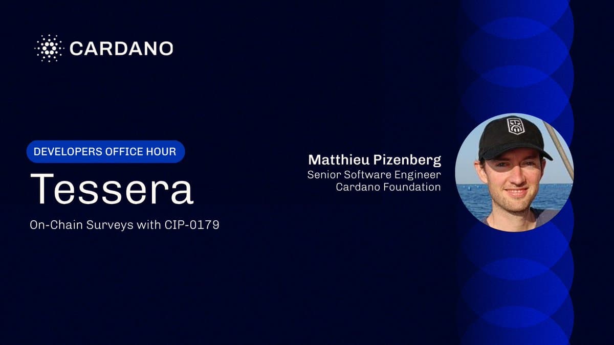 Developers Office Hour: Tessera On-Chain Surveys