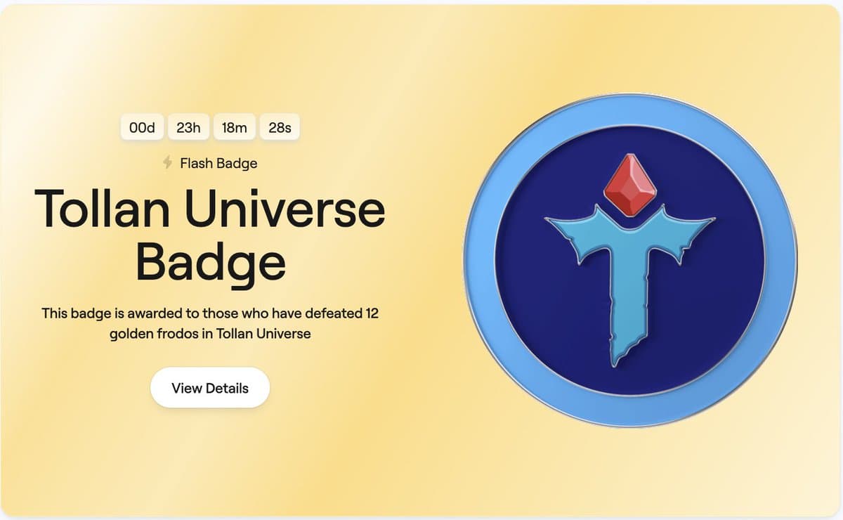 Flash Badge Hunt
