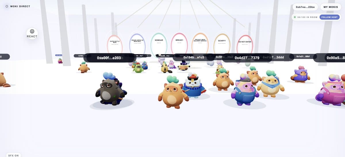 Moki Direct Livestream