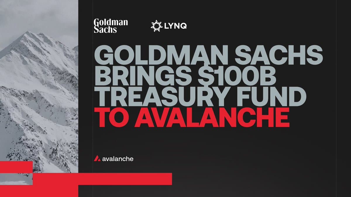 Goldman Sachs $100B Treasury Fund