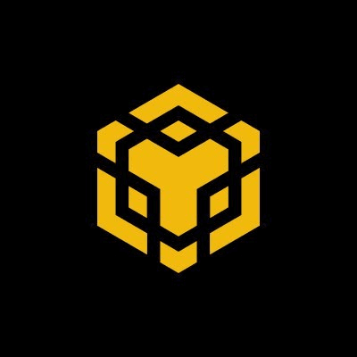 BNB Chain icon