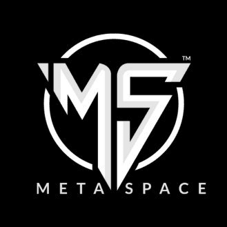 MetaSpace icon
