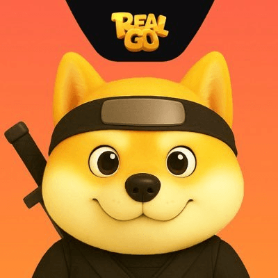 RealGo icon