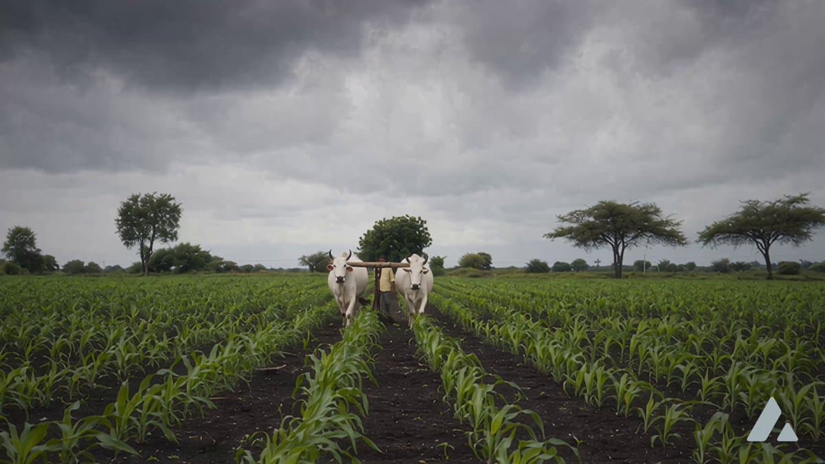 Arya.ag Agricultural Credit Integration