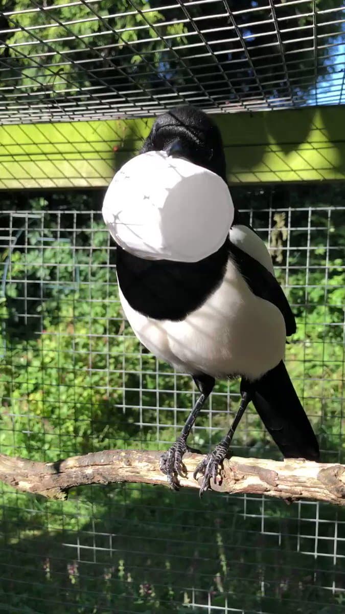 New Year & Christmas Celebration