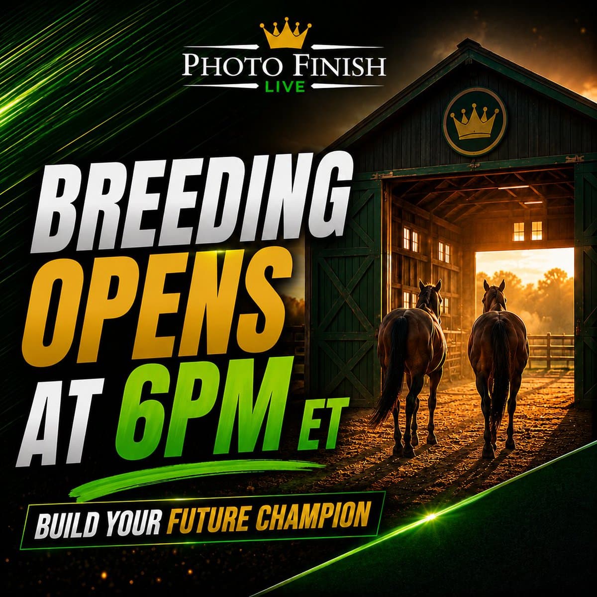Photo Finish Live Breeding Season