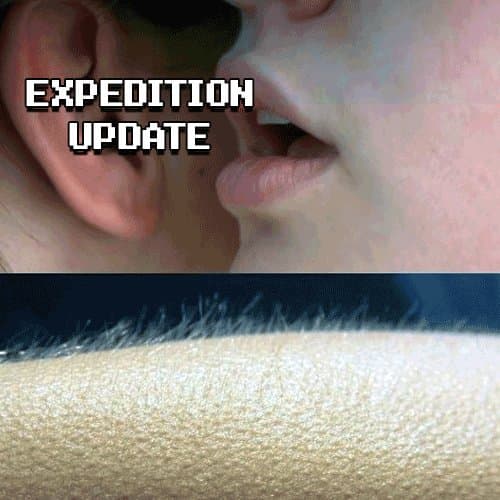 Expedition & Rewards Update