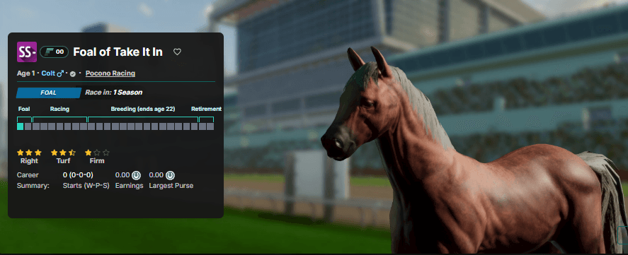 Pocono Breeding Bonus & SS- Raffle