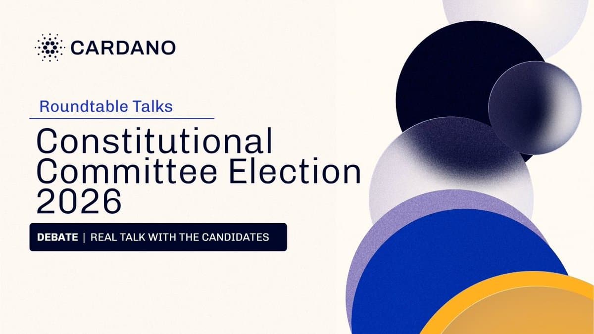 Constitutional Committee Election Roundtable