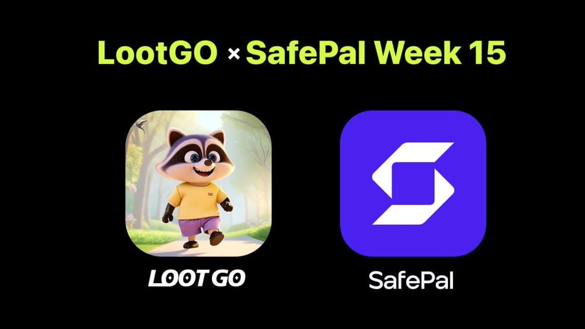 SafePal Collaboration Week 15