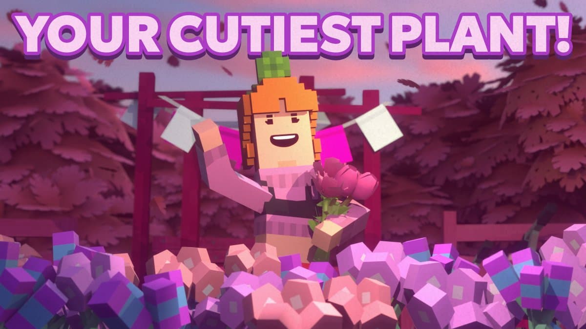 Pinkish Farm Contest