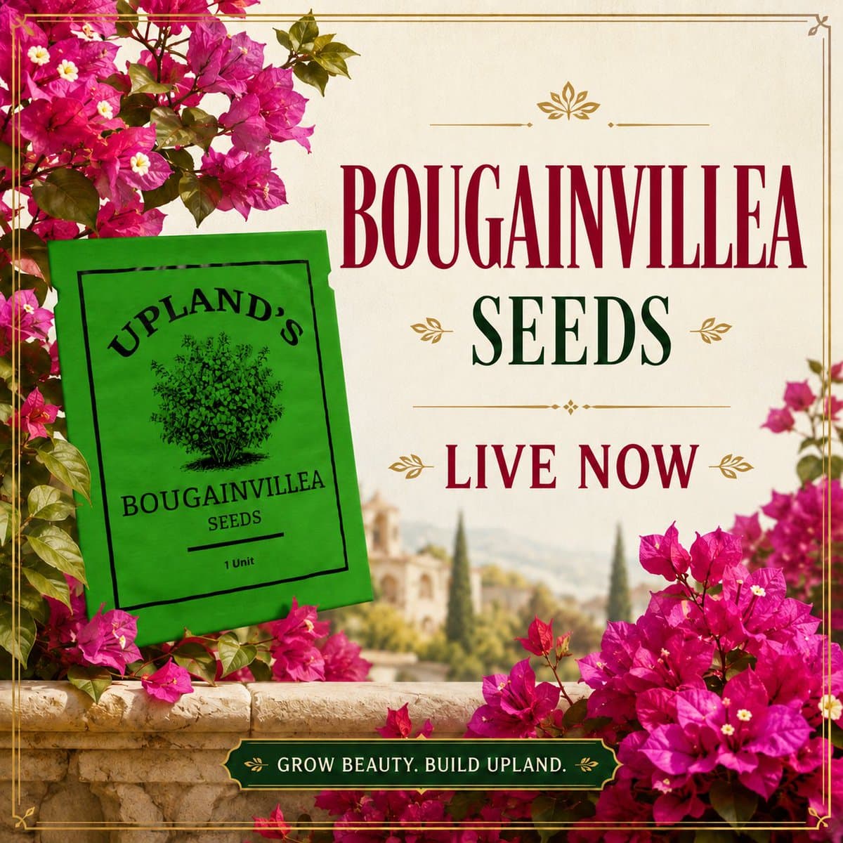 Bougainvillea Seeds Release