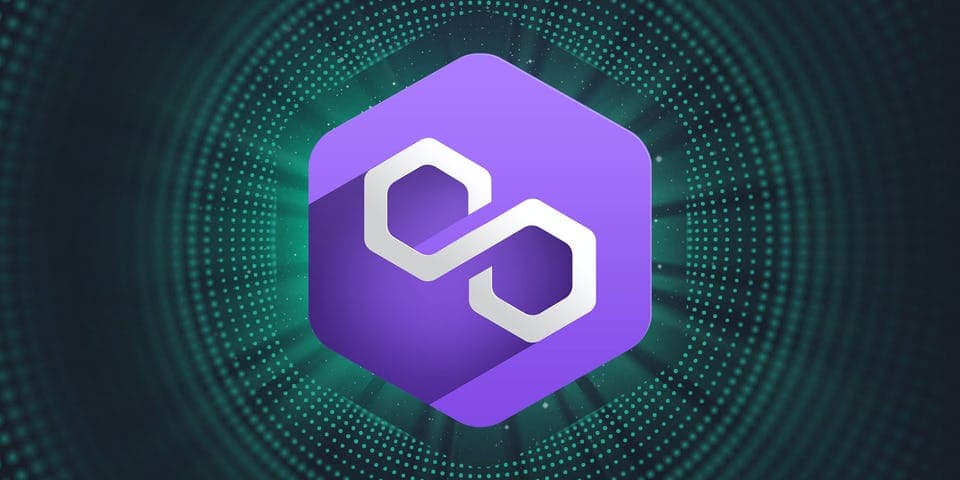 3rd Wildcard Preseason Open