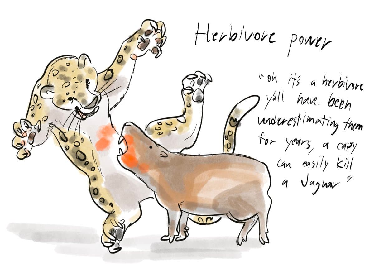 Chad Charge: Holiday Edition